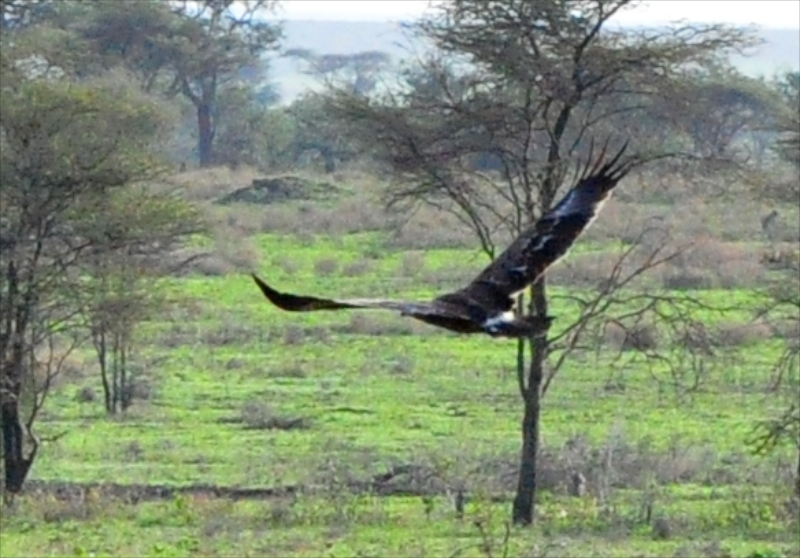Melanie Heinrich Travel Images Africa